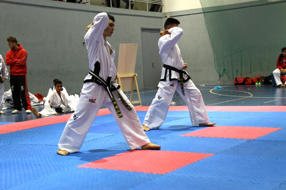 III Copa Seúl (140).jpg